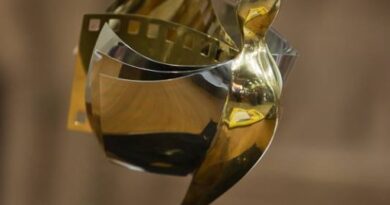 Златна статуетка на кино-литературния фестивал CineLibri с филмова лента