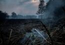 Дим от горски пожар в торфища в Индонезия