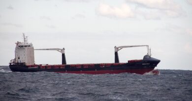 Контейнеровоз в Черно море край Констанца