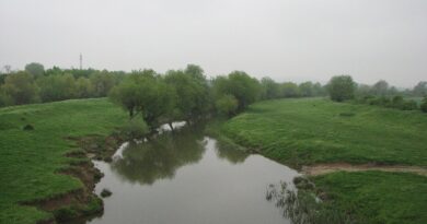Река Сазлийка при село Калояновец, Старозагорско